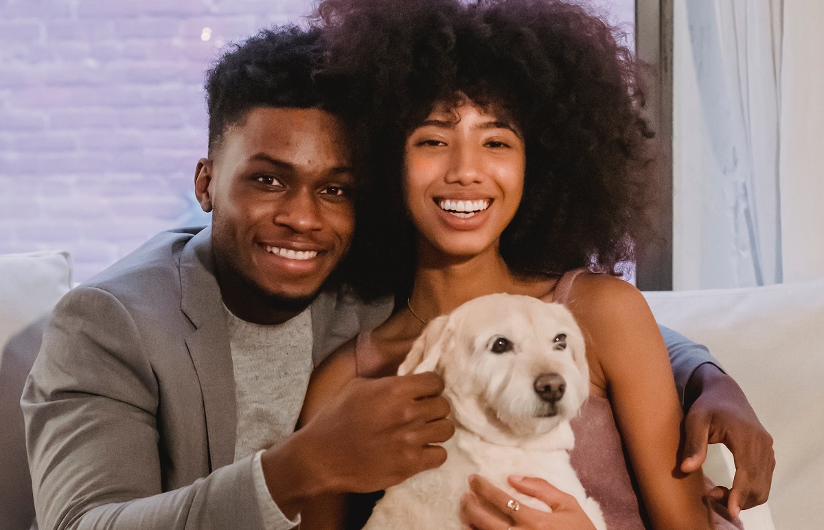 best dog friendly cities