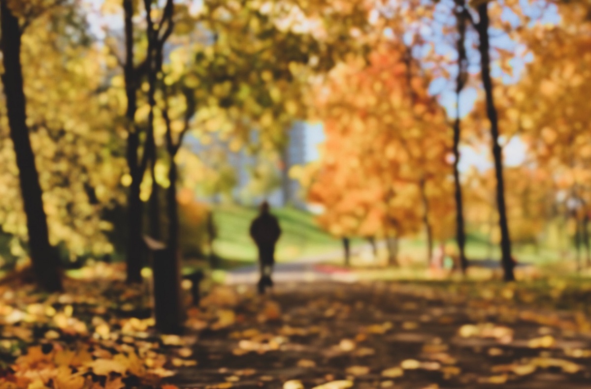 Louisiana fall foliage